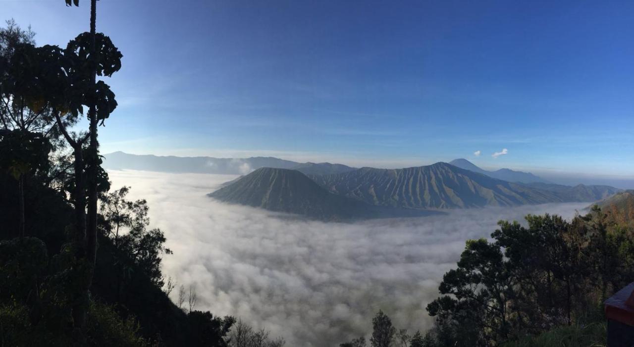 Appartamento Bromo Tanjung Tosari Esterno foto