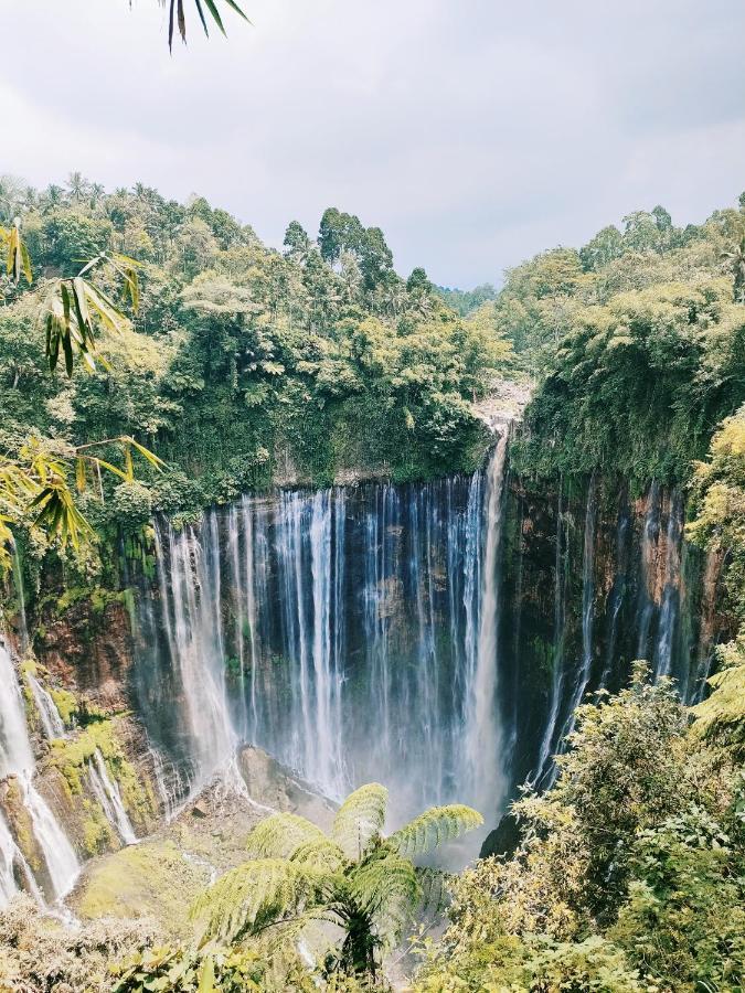 Appartamento Bromo Tanjung Tosari Esterno foto