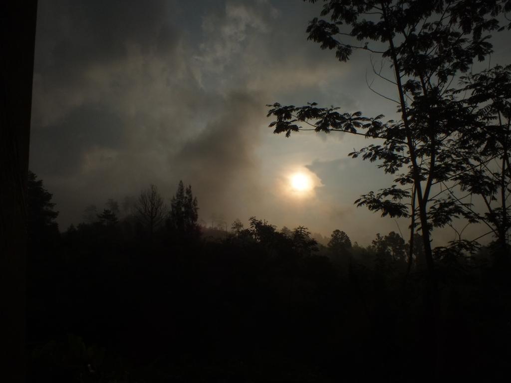 Appartamento Bromo Tanjung Tosari Esterno foto
