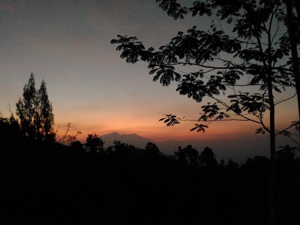 Appartamento Bromo Tanjung Tosari Esterno foto