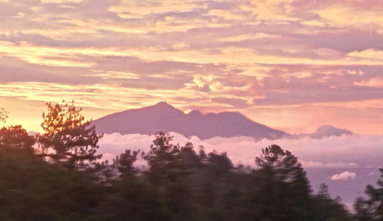Appartamento Bromo Tanjung Tosari Esterno foto
